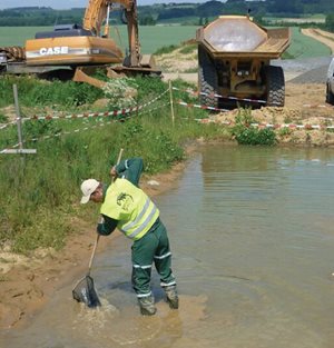 NS_Web_Zachranne-transfery_07.jpg NS_Web_Zachranne-transfery_07.jpg